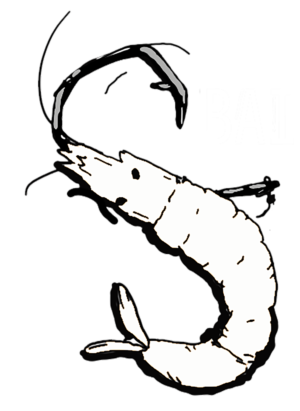 Bait Support